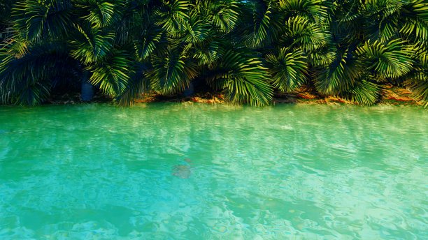 丛林中神奇的池塘。晴朗的日子。绿色的棕榈树，清澈的水，昆虫和蝴蝶。三维渲染图片下载