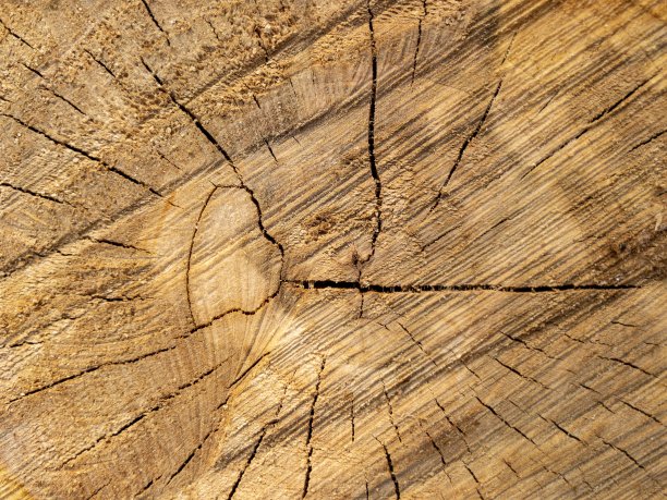 天然木制背景。图片下载