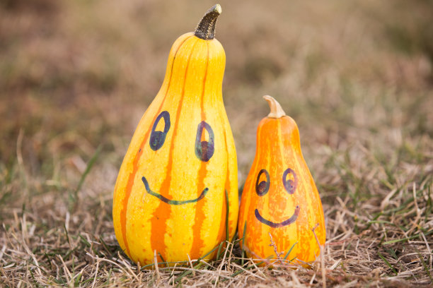 万圣节可爱的南瓜画快乐图片下载