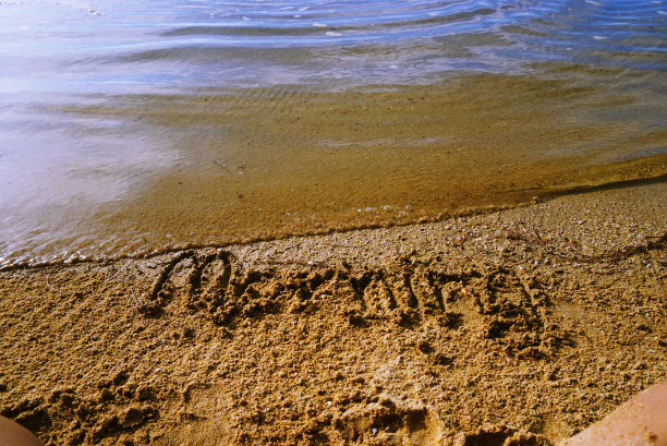 海滩上的清晨图片下载