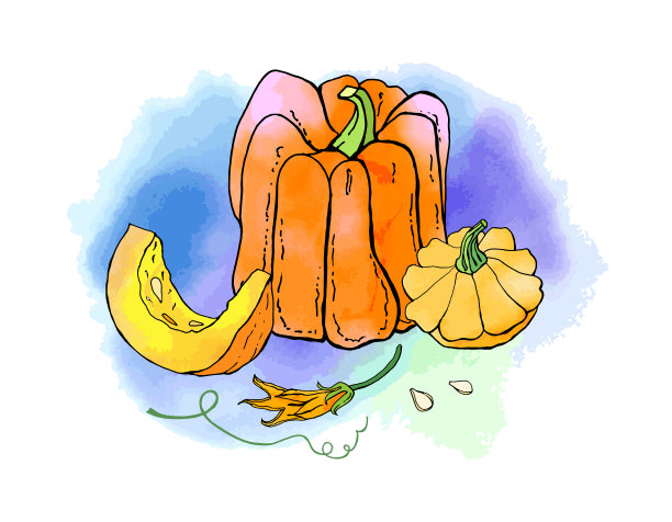 秋季南瓜收集与水彩纹理。秋天的收获。图片下载