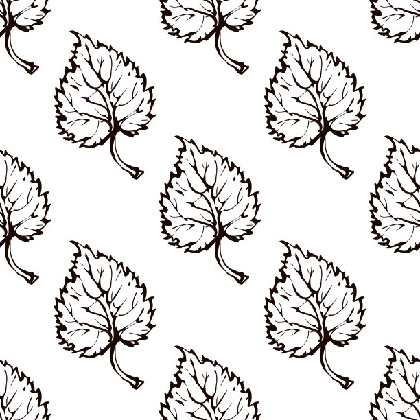 无缝模式与手绘白杨树叶图片下载