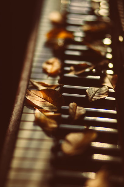 钢琴与秋叶图片下载