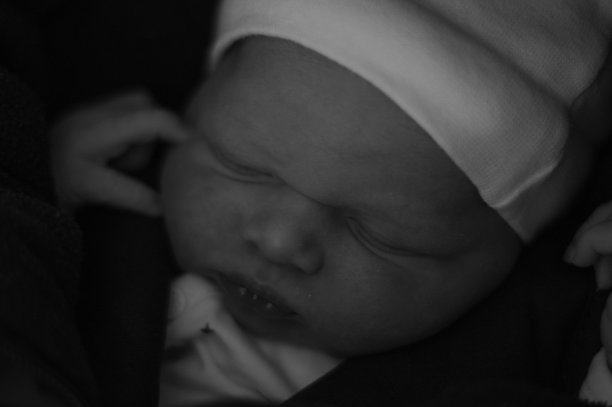 刚出生的婴儿图片下载