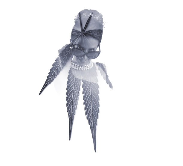 多次接触年轻女子和大麻叶图片下载