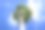佛罗里达的天空图片下载