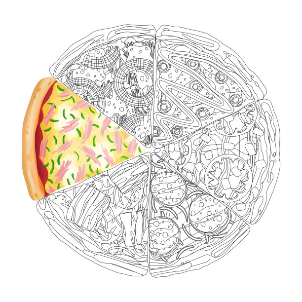 披萨从不同的切片顶视图隔离在白色照片逼真和彩色矢量插图图片下载