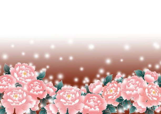 牡丹花朵图片下载