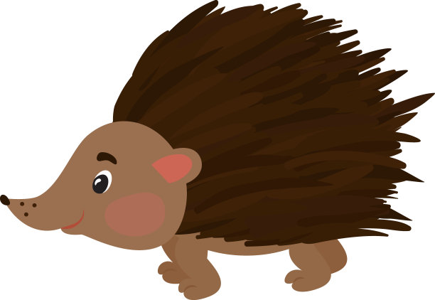 矢量图的刺猬。孤立在白色的。可爱的卡通人物。图片下载