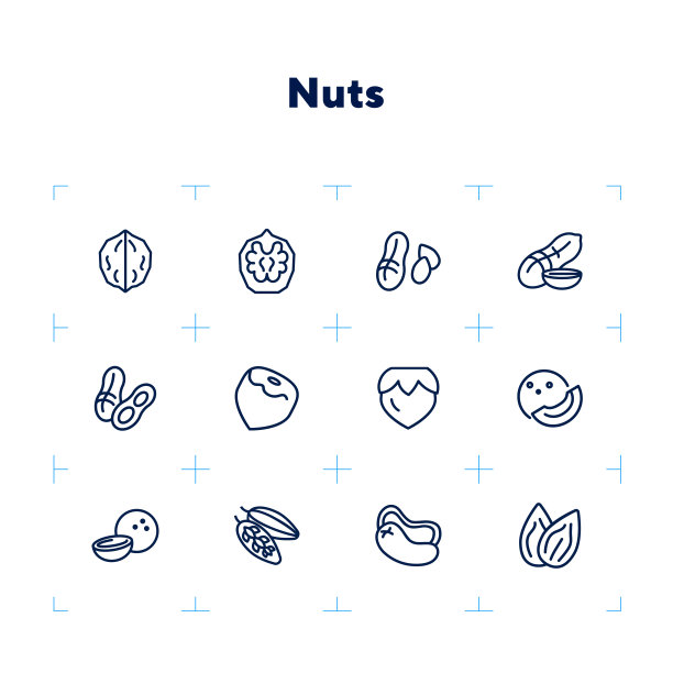 螺母线图标设置。花生，榛子，杏仁图片下载