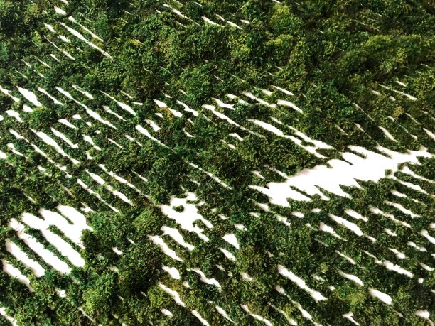 绿色背景图片下载