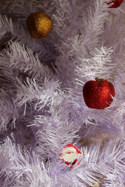 白色圣诞树的树枝图片下载