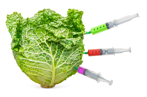 萨伏伊卷心菜和装满化学品的注射器。转基因食品，概念。3D渲染孤立的白色背景图片下载