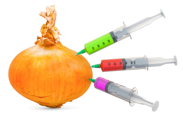 洋葱和装满化学品的注射器。转基因食品，概念。3D渲染孤立的白色背景图片下载