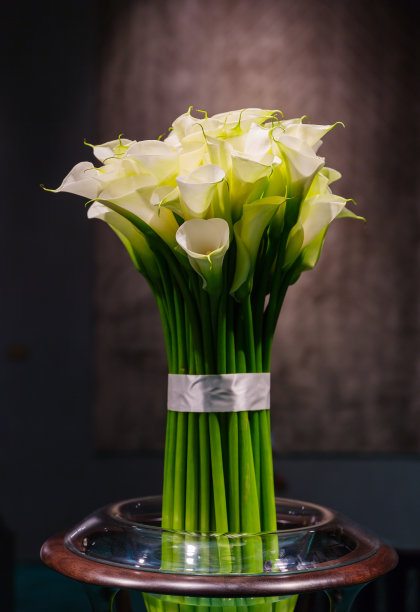 束马蹄莲图片下载