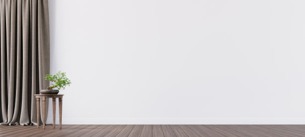 空旷的客厅室内设计，植物，窗帘和白色的墙壁，自由的空间在右边的3D渲染图片下载