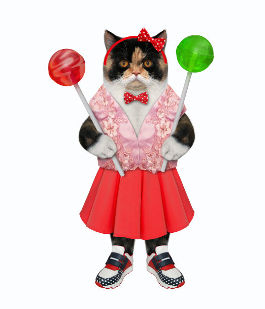 穿着红裙子拿着棒棒糖的猫图片下载