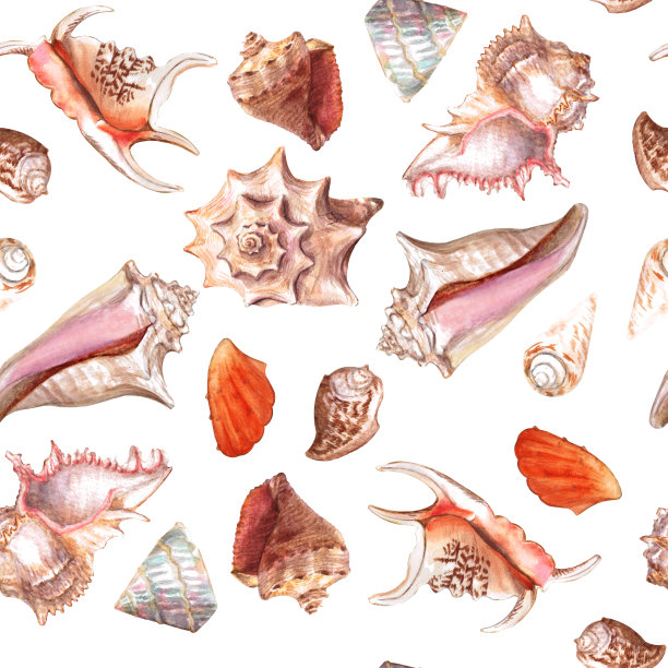 无缝的贝壳材质。海洋主题。图片下载