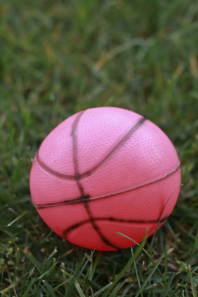 草地上的粉色塑料球图片下载