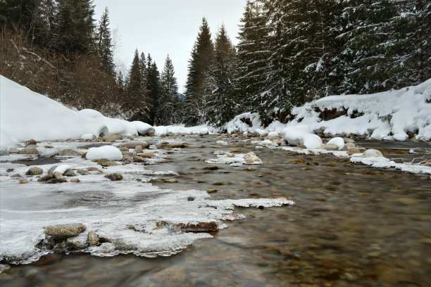 清晨在冰冻的冬季河流上，低角度长时间曝光照片，聚焦流水和覆冰的石头，与远处的针叶树图片下载