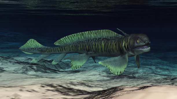 史前鲨鱼Orthacanthus图片下载