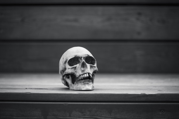 一个木制背景上的人类头骨被柔和的光线照亮。图片下载