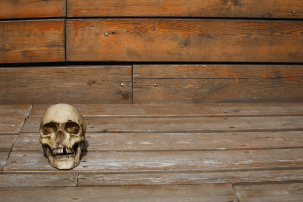 一个木制背景上的人类头骨被柔和的光线照亮。图片下载