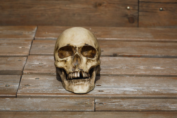 一个木制背景上的人类头骨被柔和的光线照亮。图片下载