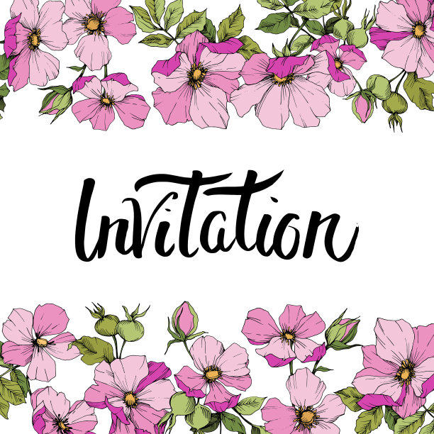 野蔷薇犬科在一个载体风格孤立。边框装饰方形。图片下载