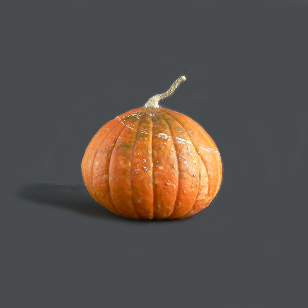 收获的南瓜在黑色的背景。季节的变化。秋天明亮的色彩。图片下载