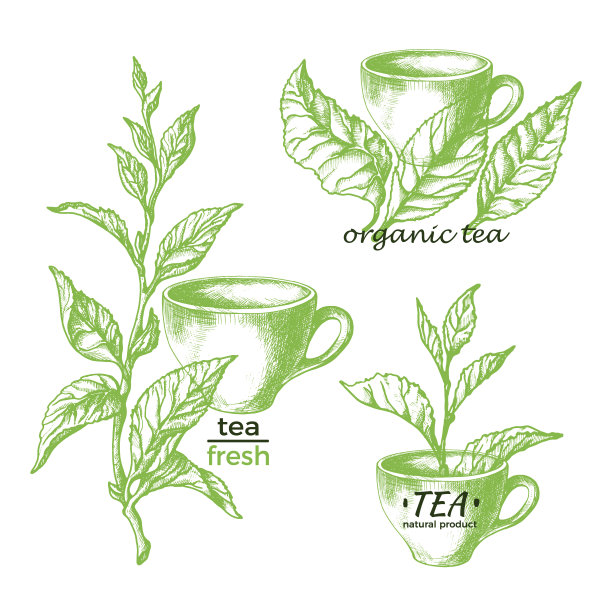 绿茶。天然草本饮料。集图片下载