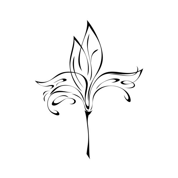 915年装饰图片下载