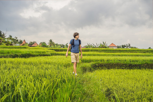 年轻人在绿色梯级稻田种植。印尼巴厘岛图片下载