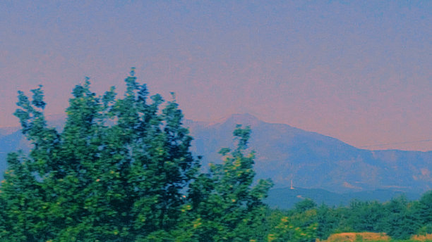 树和山图片下载