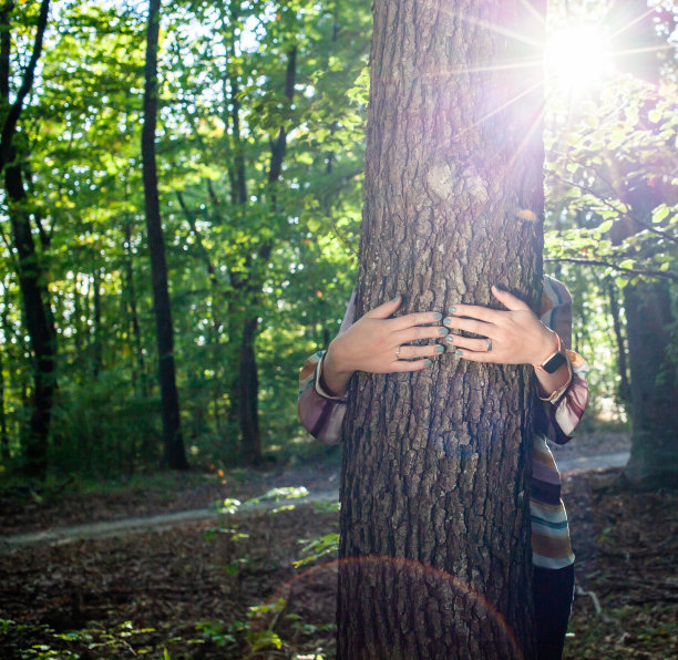 妇女双手拥抱树木-对抗气候变化，拯救地球图片下载