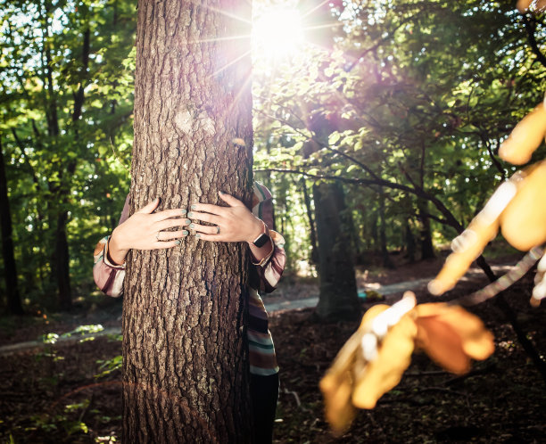 妇女双手拥抱树木-对抗气候变化，拯救地球图片下载