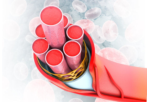 医学背景下的血管解剖图片下载