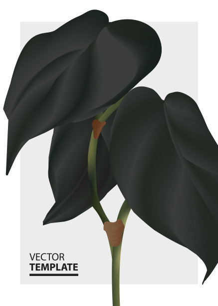 现代黑色对比叶怪兽叶夏季婚礼卡。手绘植物业务模板，花叶丛林自然装饰图片下载