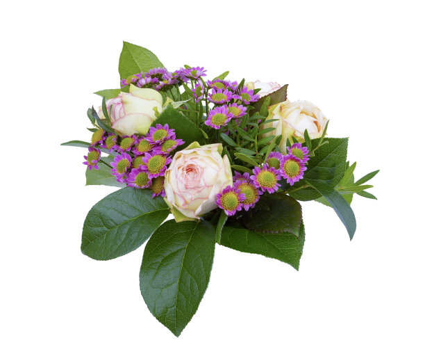 一小束农场玫瑰图片下载