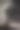 一只黑狗的鼻子的特写图片下载