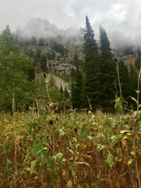 雾桌岩步道图片下载