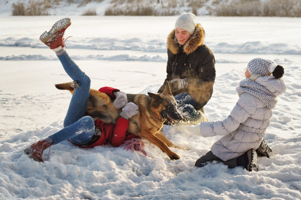 去遛狗图片下载