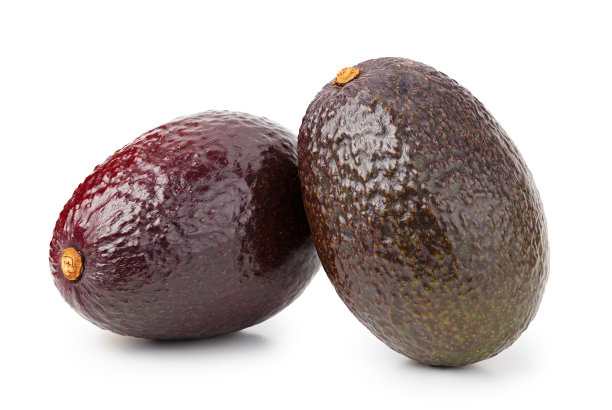 牛油果孤立在白色图片下载