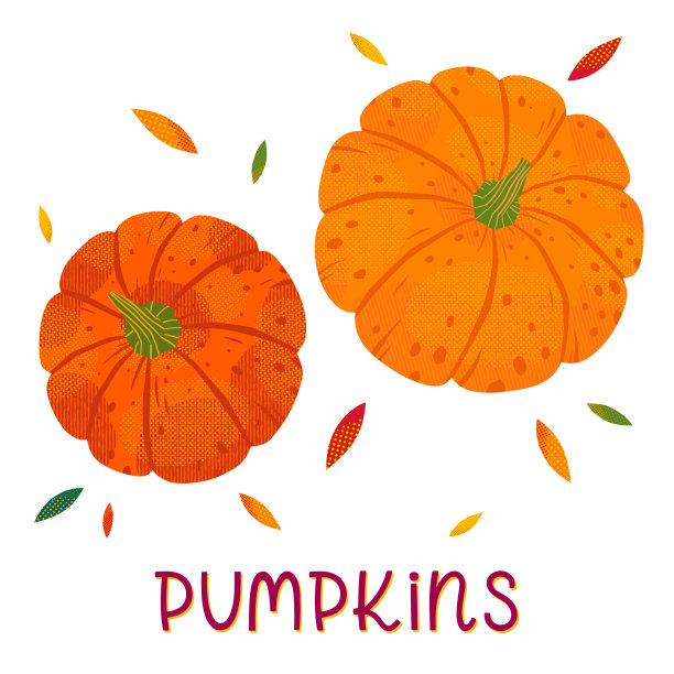 新鲜的南瓜，叶子在白色的背景图片下载