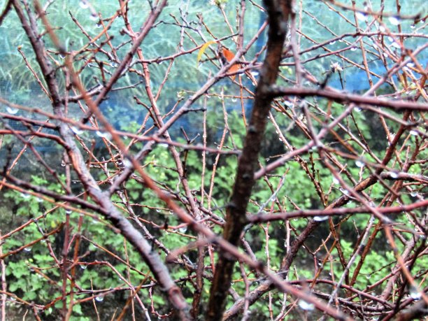 十月。雨天图片下载