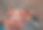 在烤架上煎羊肉串的男人。手在户外特写镜头。图片下载