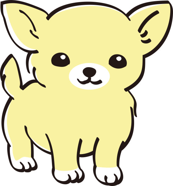 吉娃娃的颜色可爱的小狗流行狗图片下载