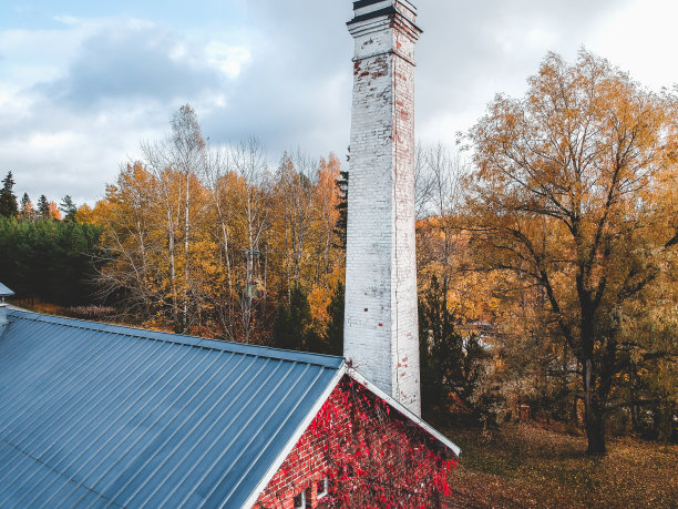 以森林为背景的房子鸟瞰图。无人机拍摄的照片。芬兰,Pornainen图片下载