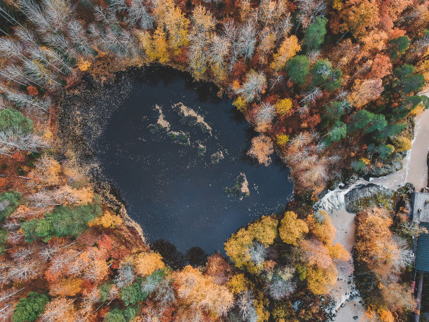 森林中央美丽湖泊的鸟瞰图。无人机拍摄的照片。芬兰、Pornainen。图片下载