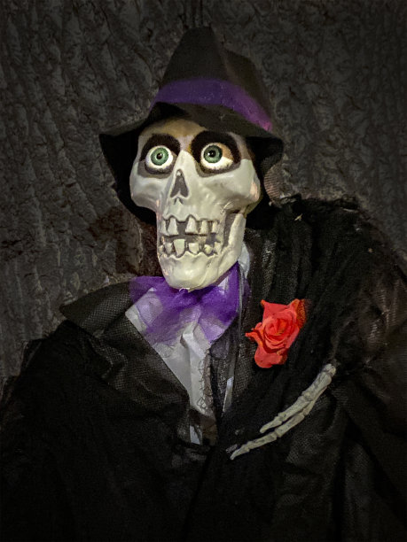 骷髅穿着万圣节的衣服戴着帽子图片下载